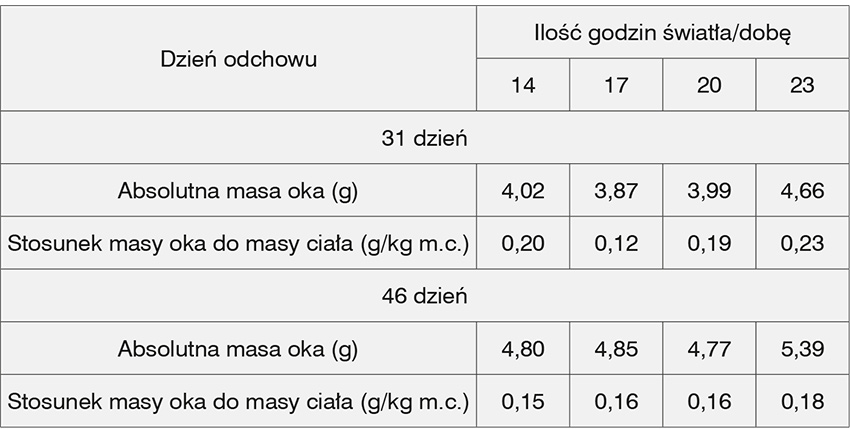 Wysoka masa oka u kurcząt brojlerów jest konsekwencją źle dobranego programu świetlnego (nadmierna ilość światła) (Schwean-Lardner, 2012; Wężyk i Gilewski 2014)